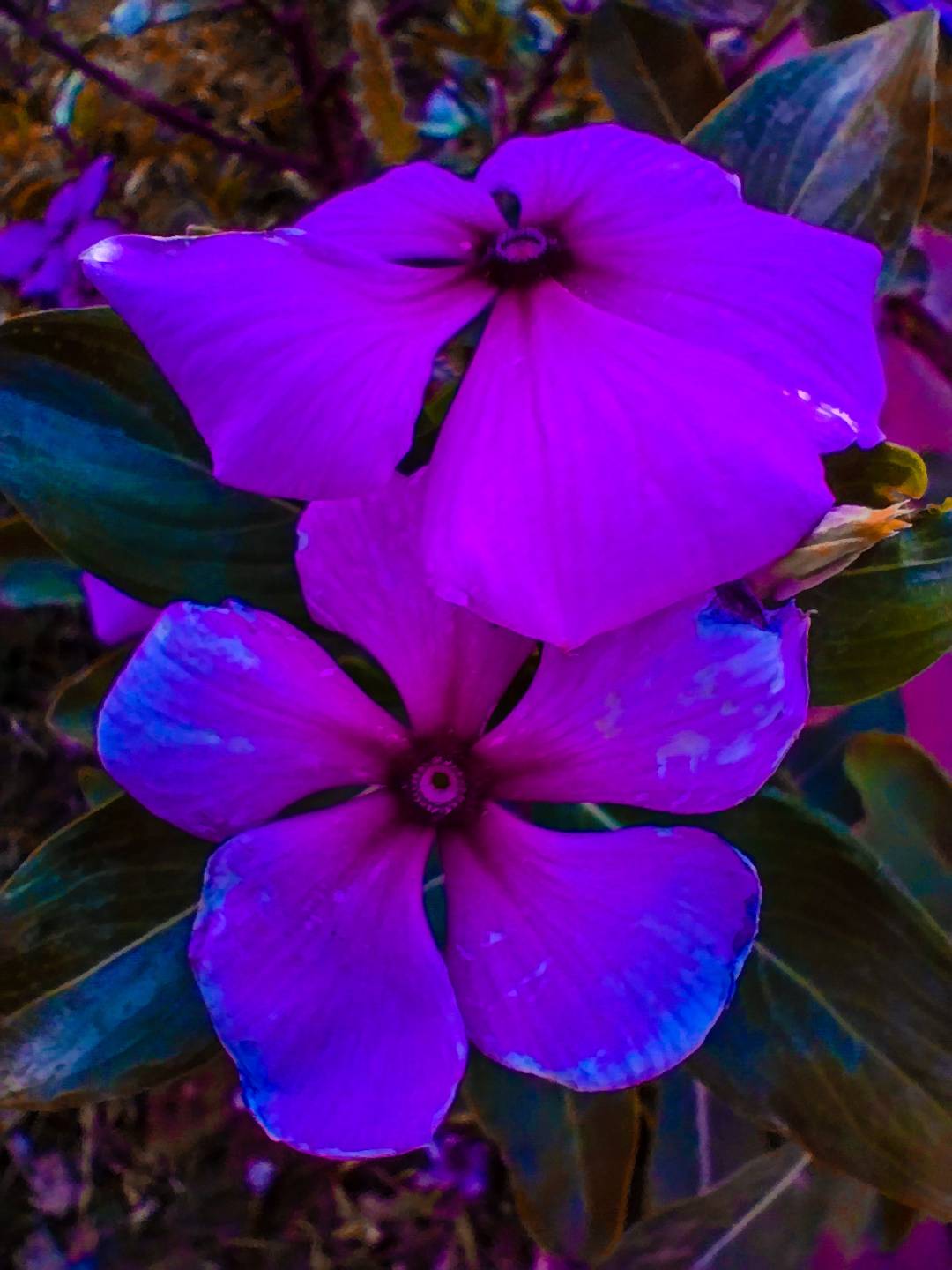 p-styletext-align-centerspan-stylecolorrgb19200strongbrstrongspanpp