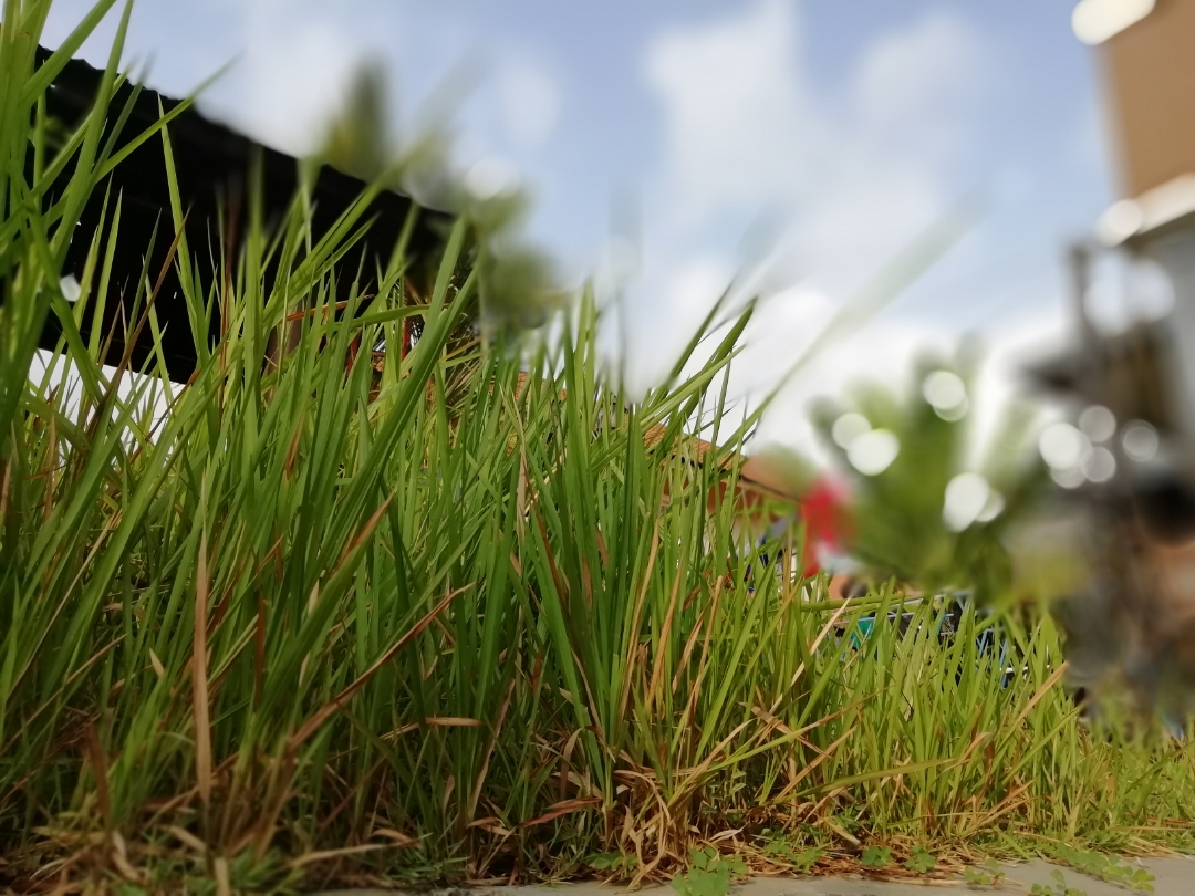 pThis-is-taken-in-my-backyard-on-the-second-when-I-got-this-9-lite-I