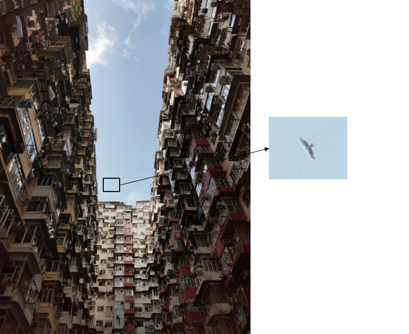 p-style-font-size-16px-color-rgb0-0-0HONOR-surprises-us-again-with