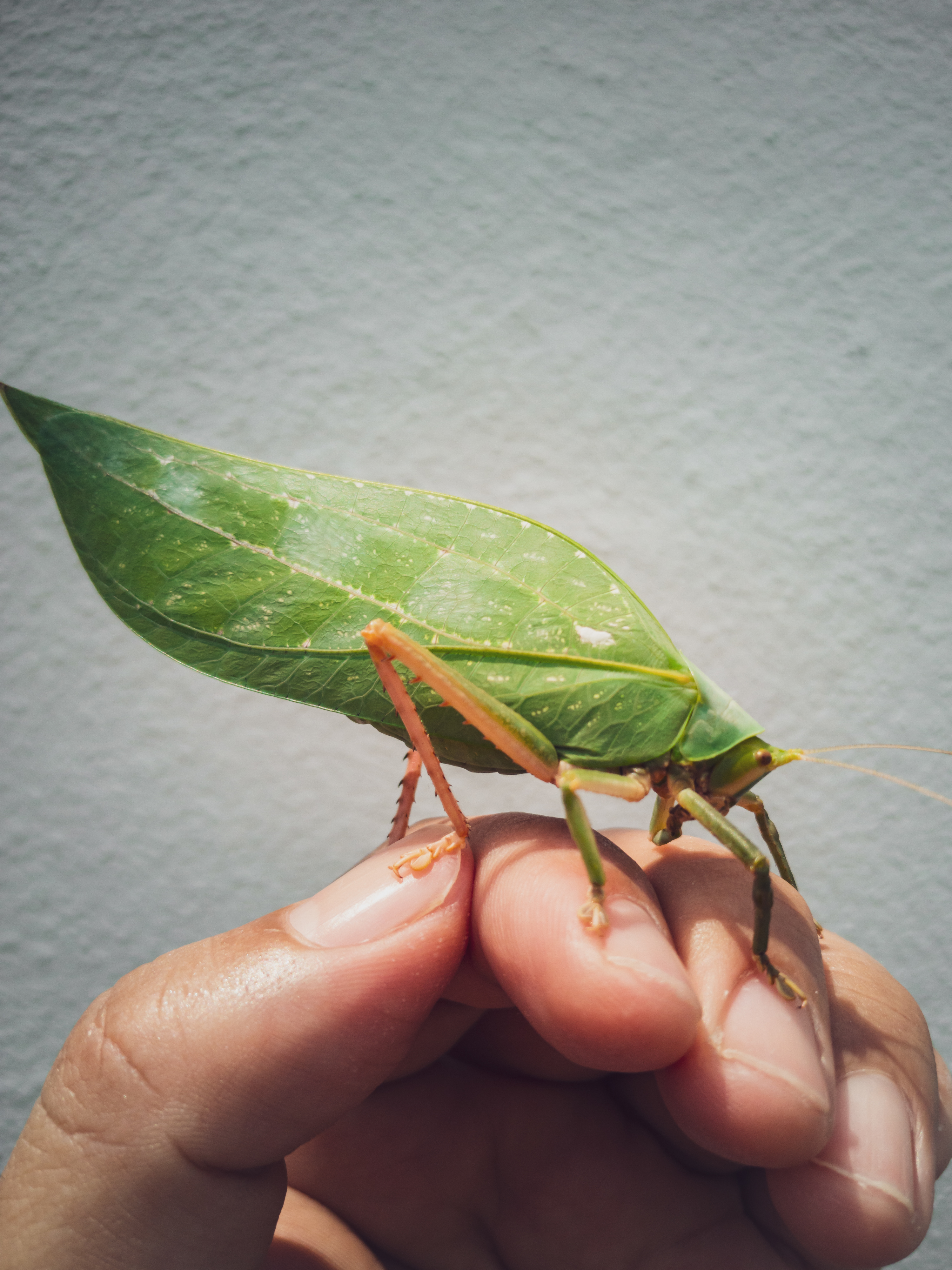 pMy-MoodIm-usually-pretty-mezmerized-by-the-beauty-of-nature-Thats-one