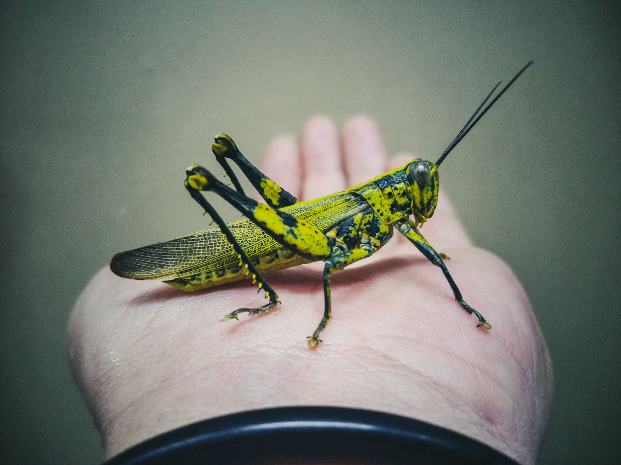 pMy-MoodIm-usually-pretty-mezmerized-by-the-beauty-of-nature-Thats-one