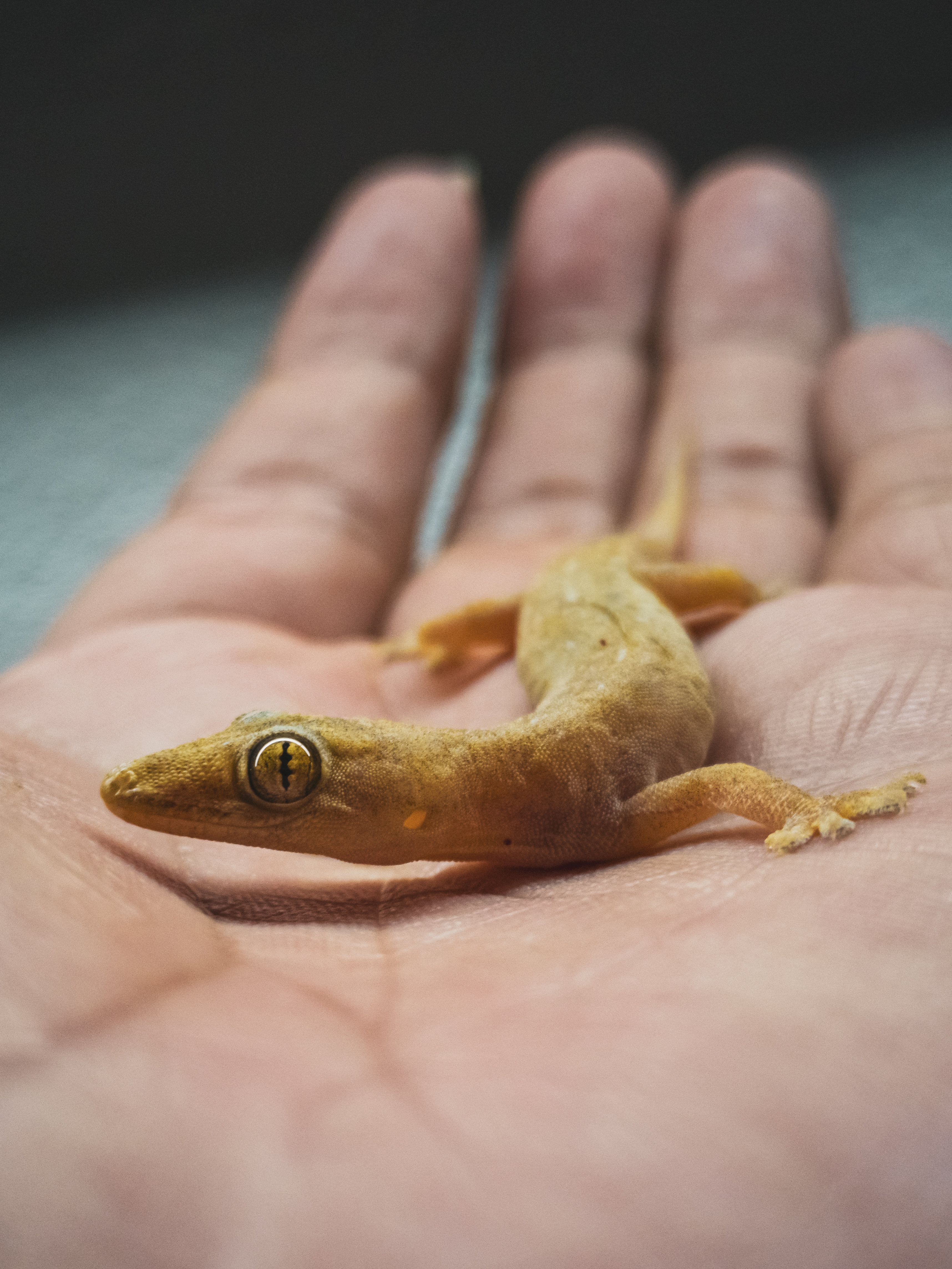 pMy-MoodIm-usually-pretty-mezmerized-by-the-beauty-of-nature-Thats-one