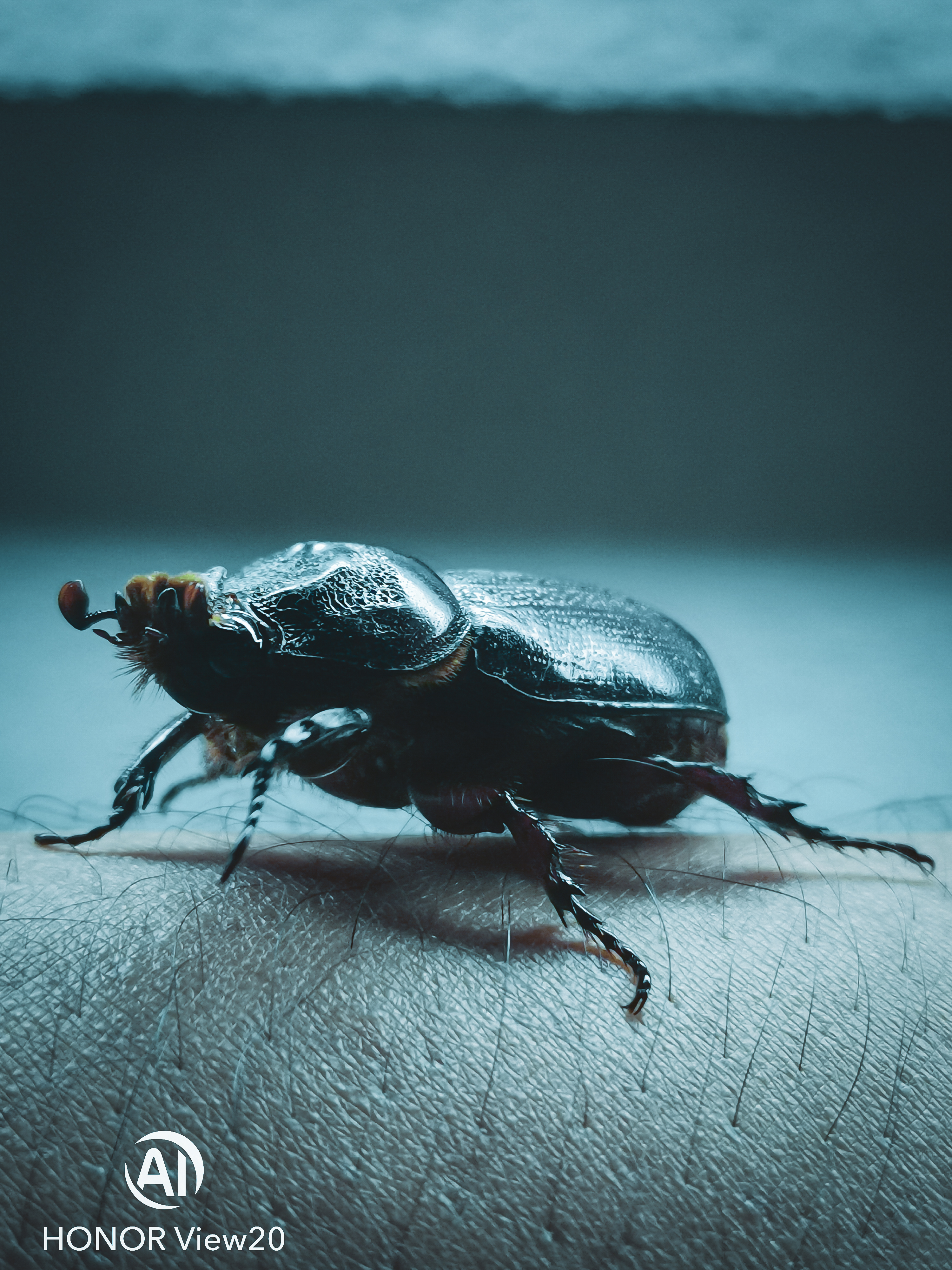 pMy-MoodIm-usually-pretty-mezmerized-by-the-beauty-of-nature-Thats-one