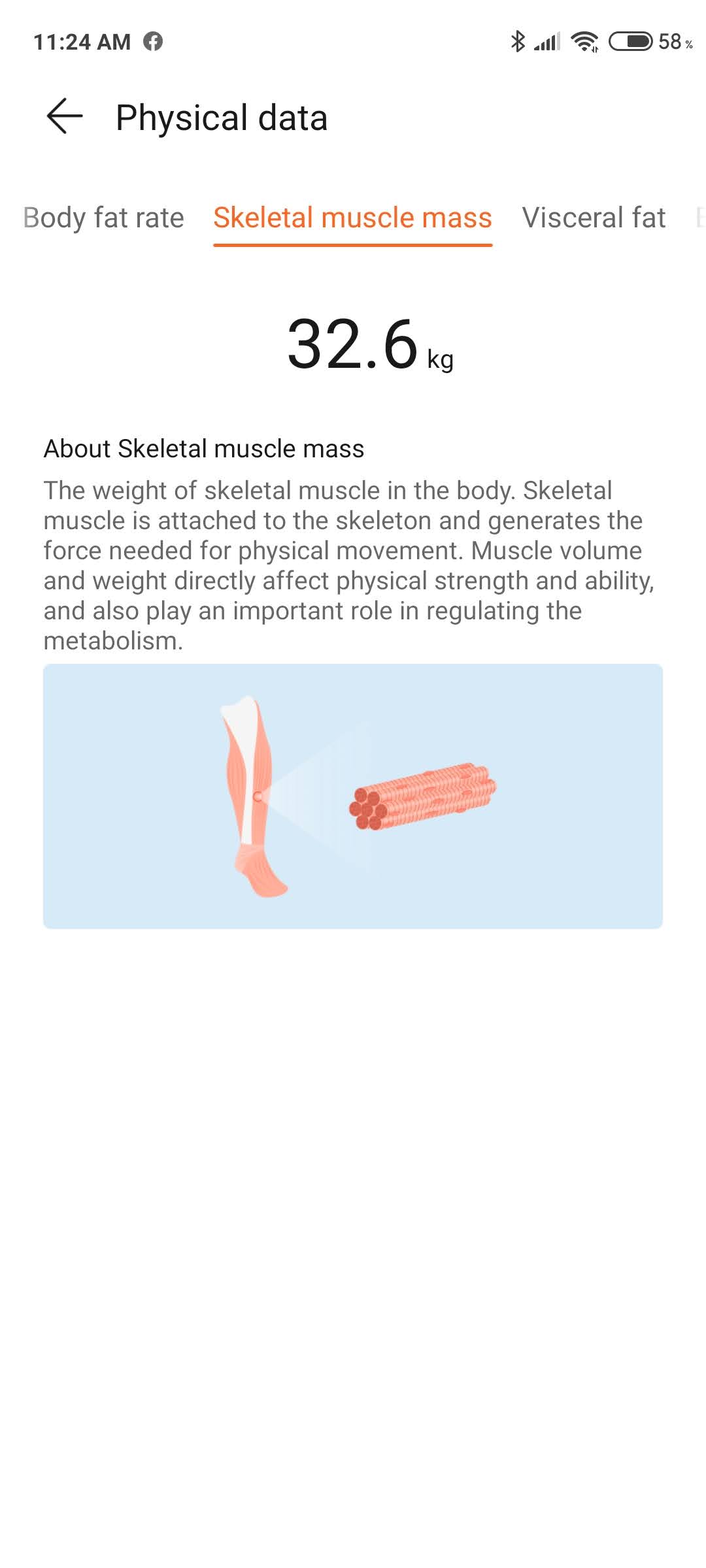 REVIEW-HONOR-Body-Scale-2-Stay-Healthy-Stay-Fit