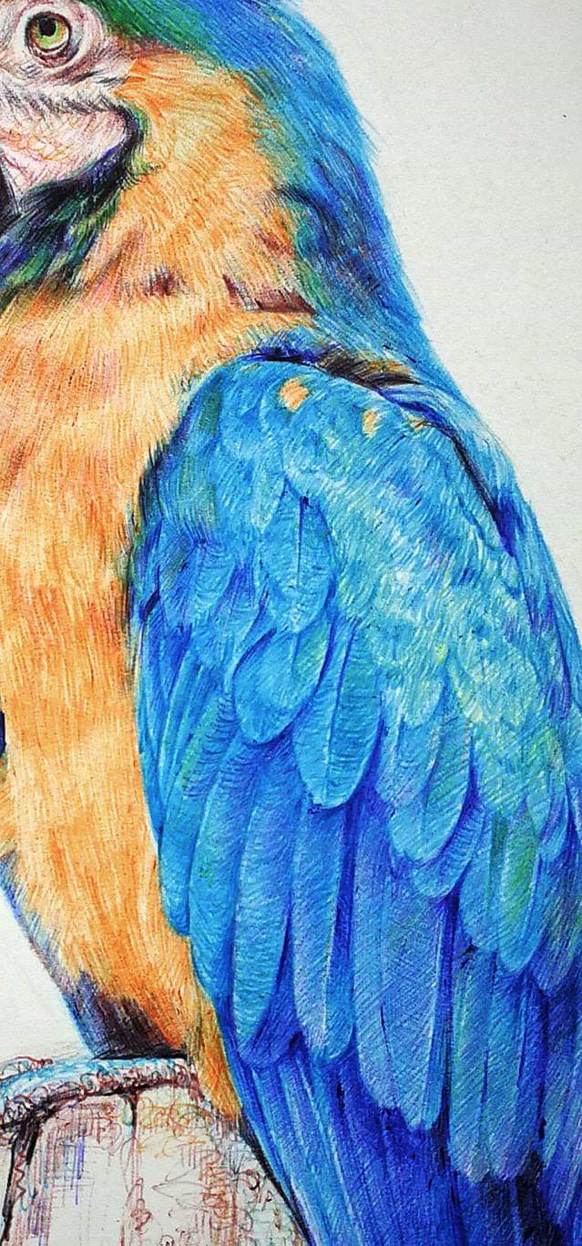 Wallpaper-Punch-Hole-Wallpaper-Collections