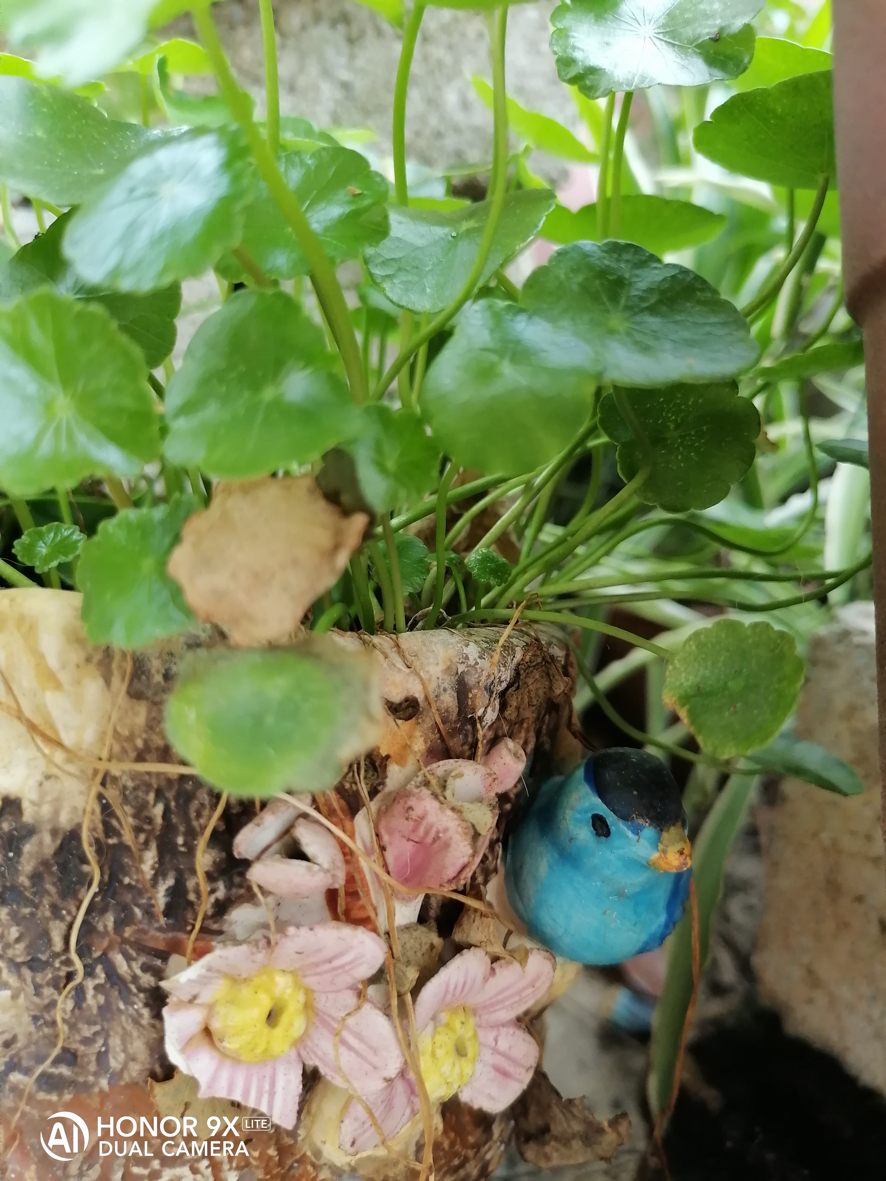 Review-HONOR-9X-Lite-Review---A-good-all-rounder-phone