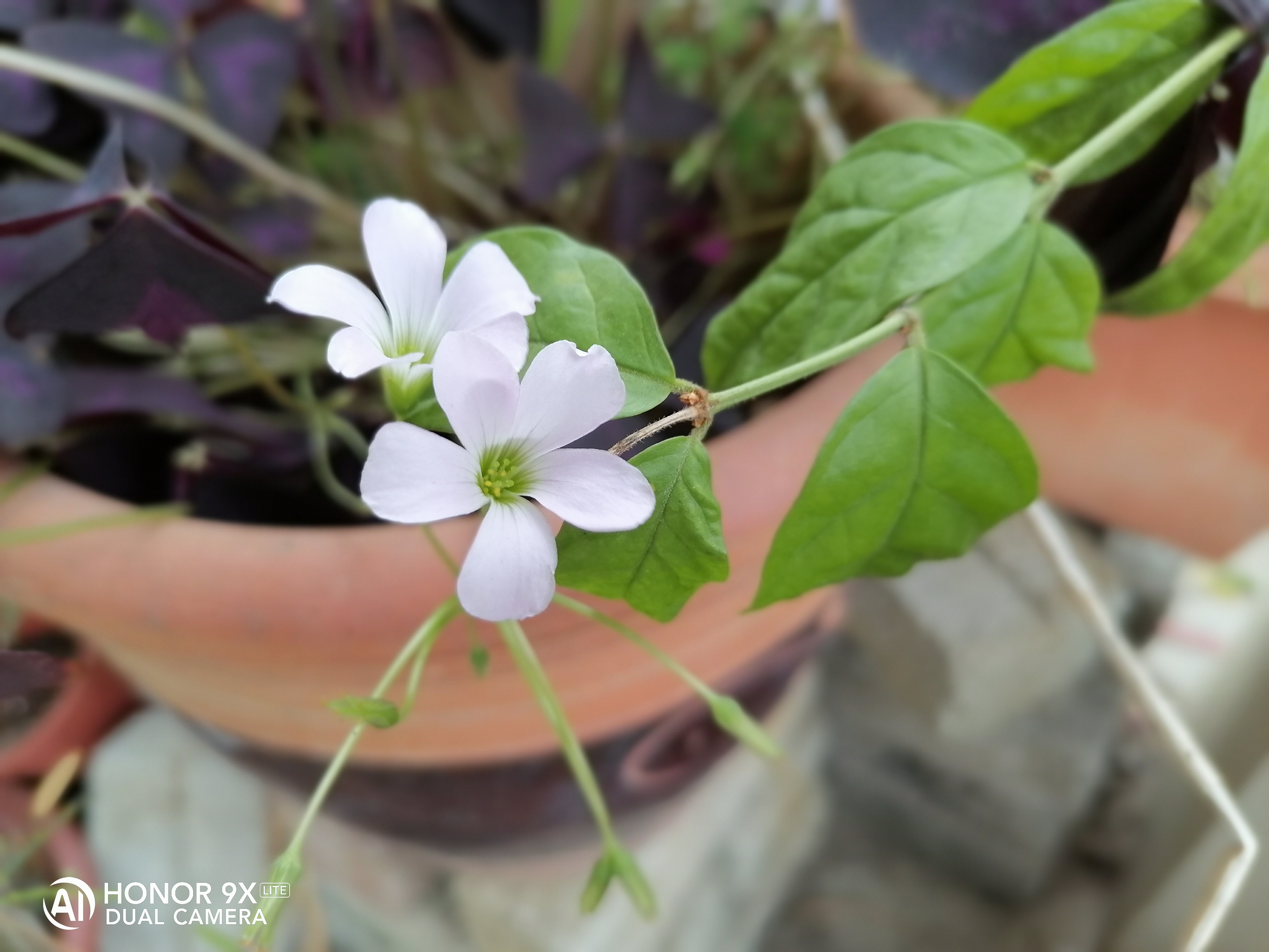 Review-HONOR-9X-Lite-Review---A-good-all-rounder-phone