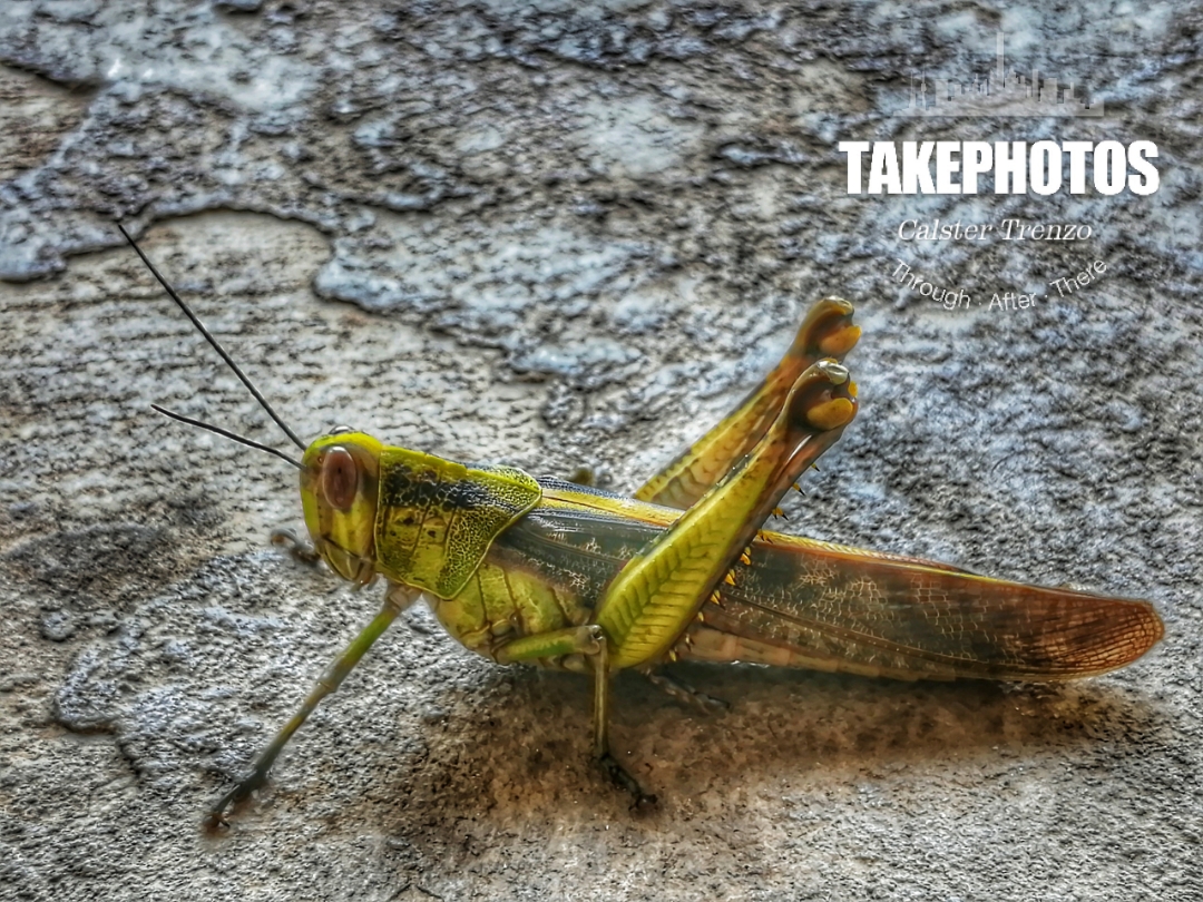 Biweekly-Photo-Collection-Highlighted-All-Good-Photos-Created-from-1st