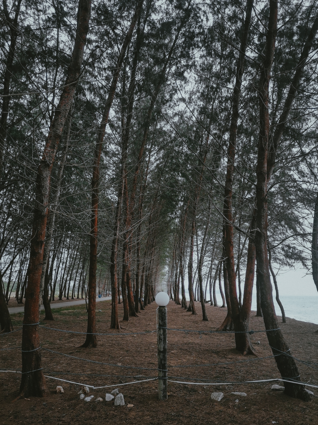 Biweekly-Photo-Collection-Highlighted-All-Good-Photos-Created-from-1st