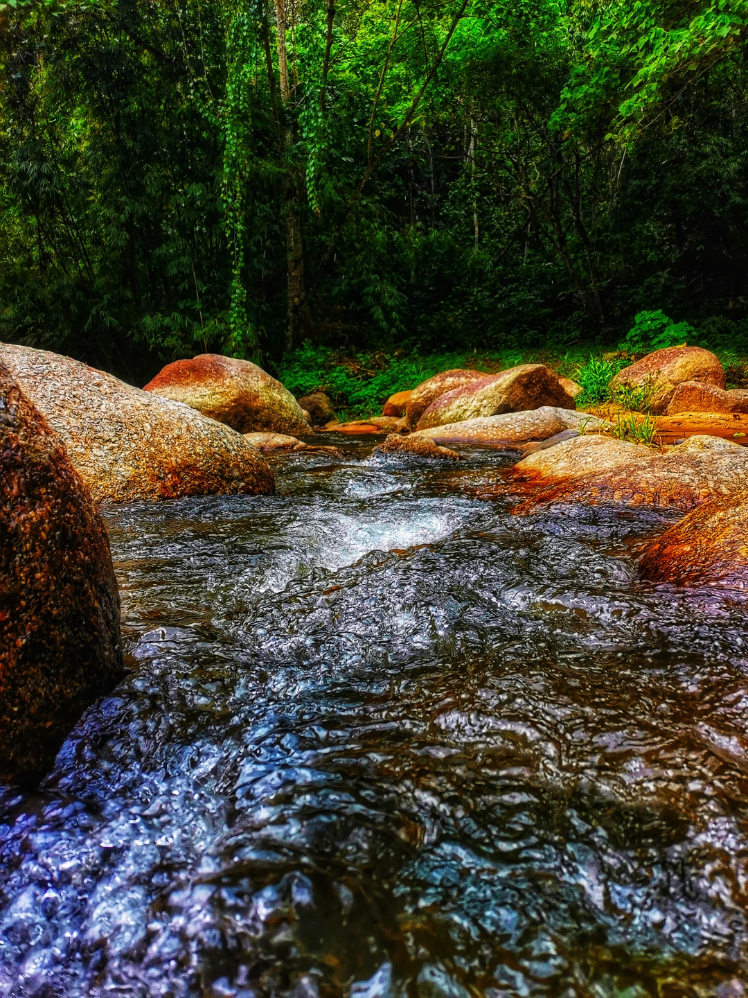 Biweekly-Photo-Collection-Highlighted-All-Good-Photos-Created-from-1st