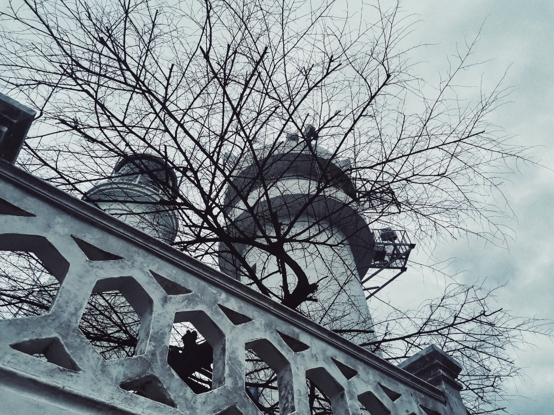 Biweekly-Photo-Collection-Highlighted-All-Good-Photos-Created-from-1st