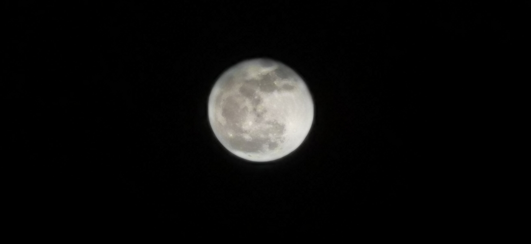 Biweekly-Photo-Collection-Highlighted-All-Good-Photos-Created-from-1st