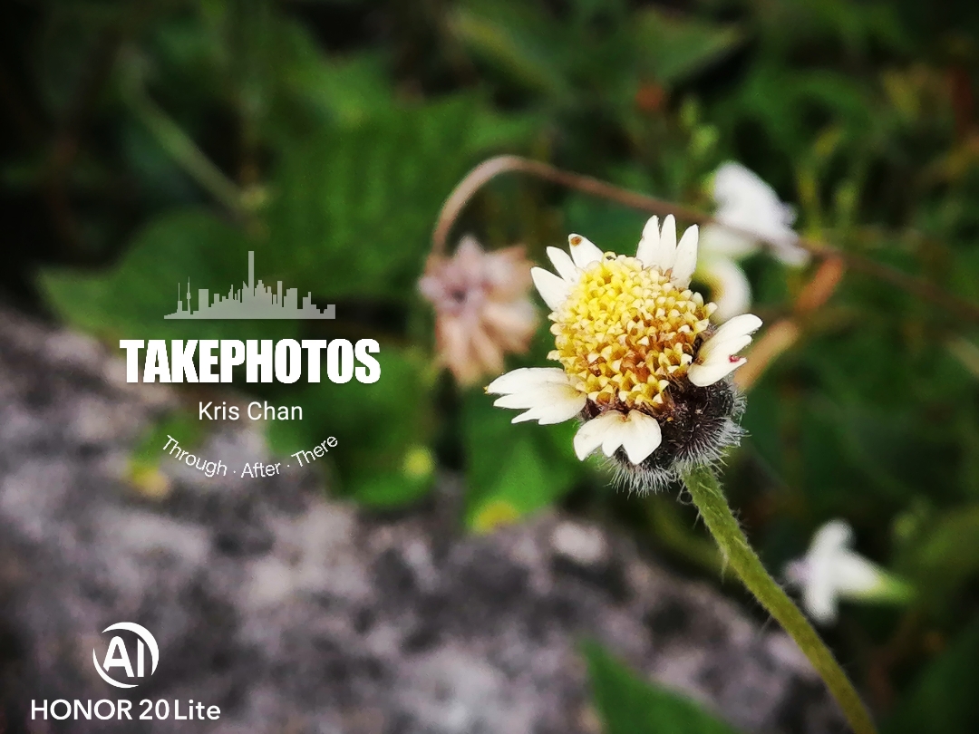 Biweekly-Photo-Collection-Highlighted-All-Good-Photos-Created-from-1st