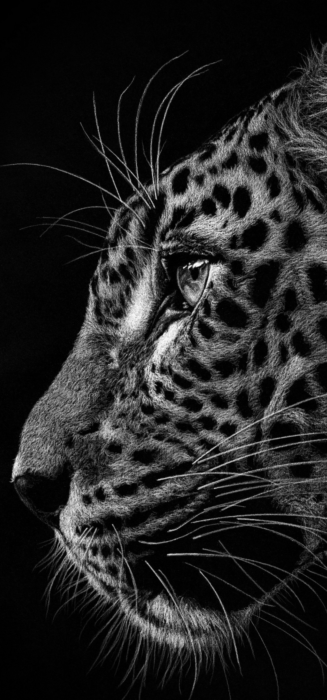 [Wallpaper Share] Punch Hole Wallpapers For Honor and Huawei phone