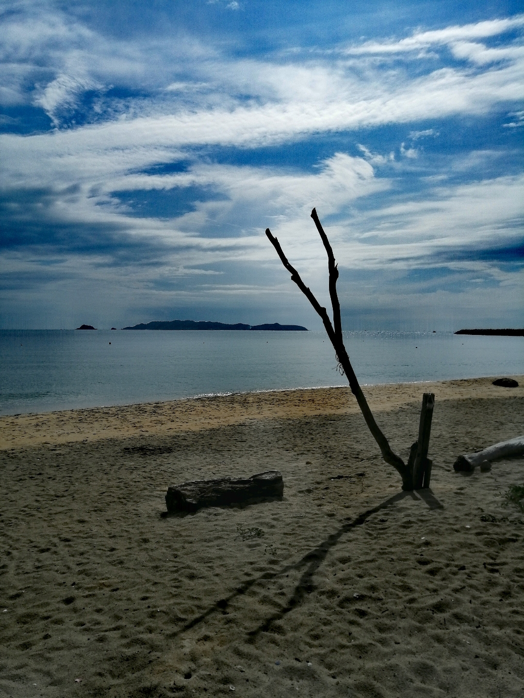 Biweekly-Photo-Collection-Highlighted-All-Good-Photos-Created-from-1st