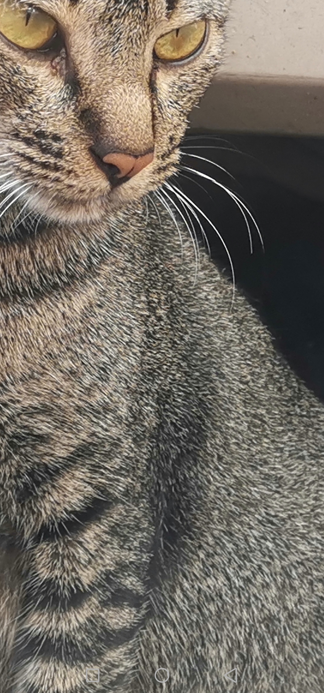 Gaming-on-the-HONOR-View20