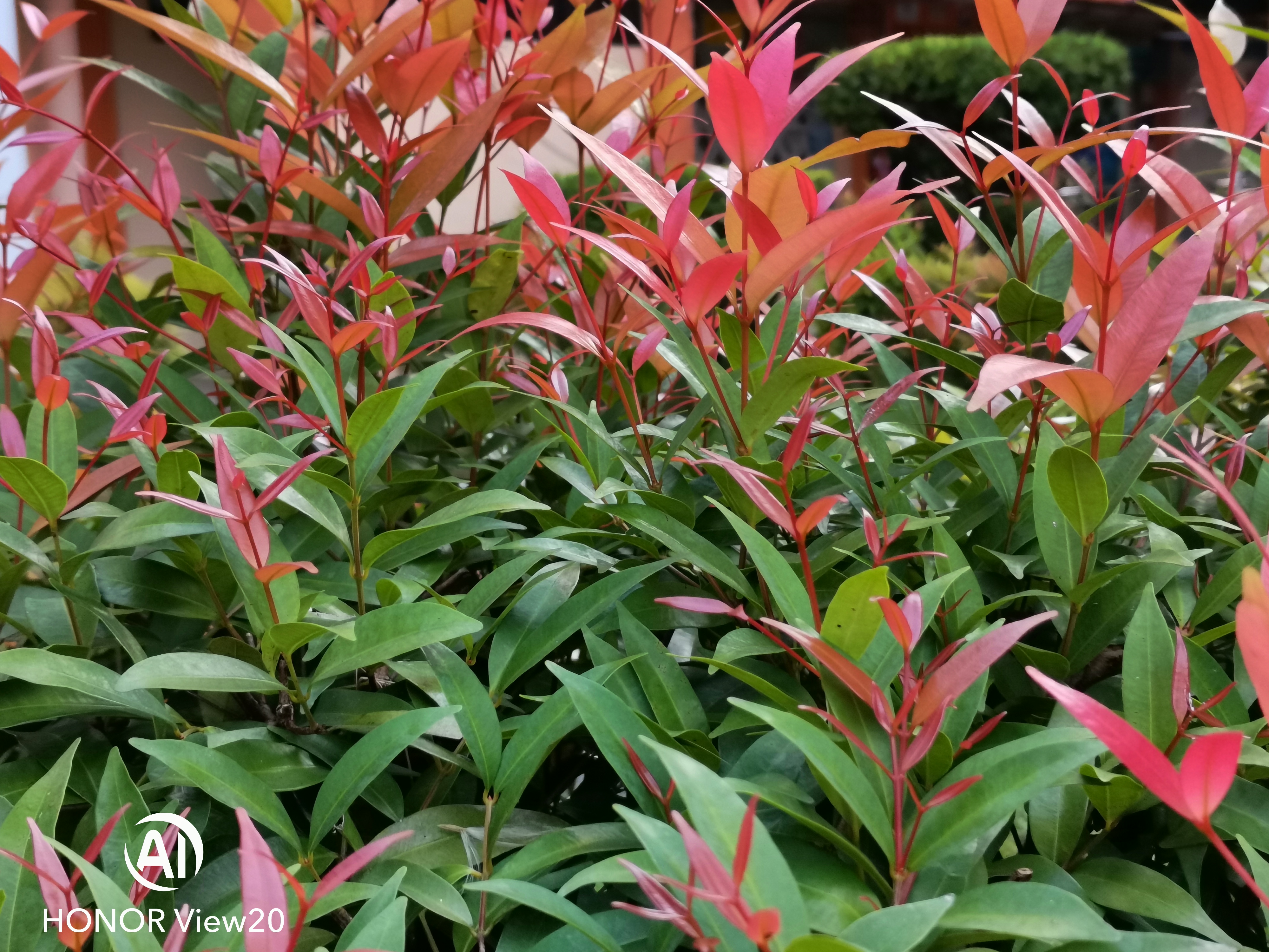 REVIEW-Incredibles-Miracle-of-48mp-SONY-IMX5863D-ToF-amp-25mp-AI