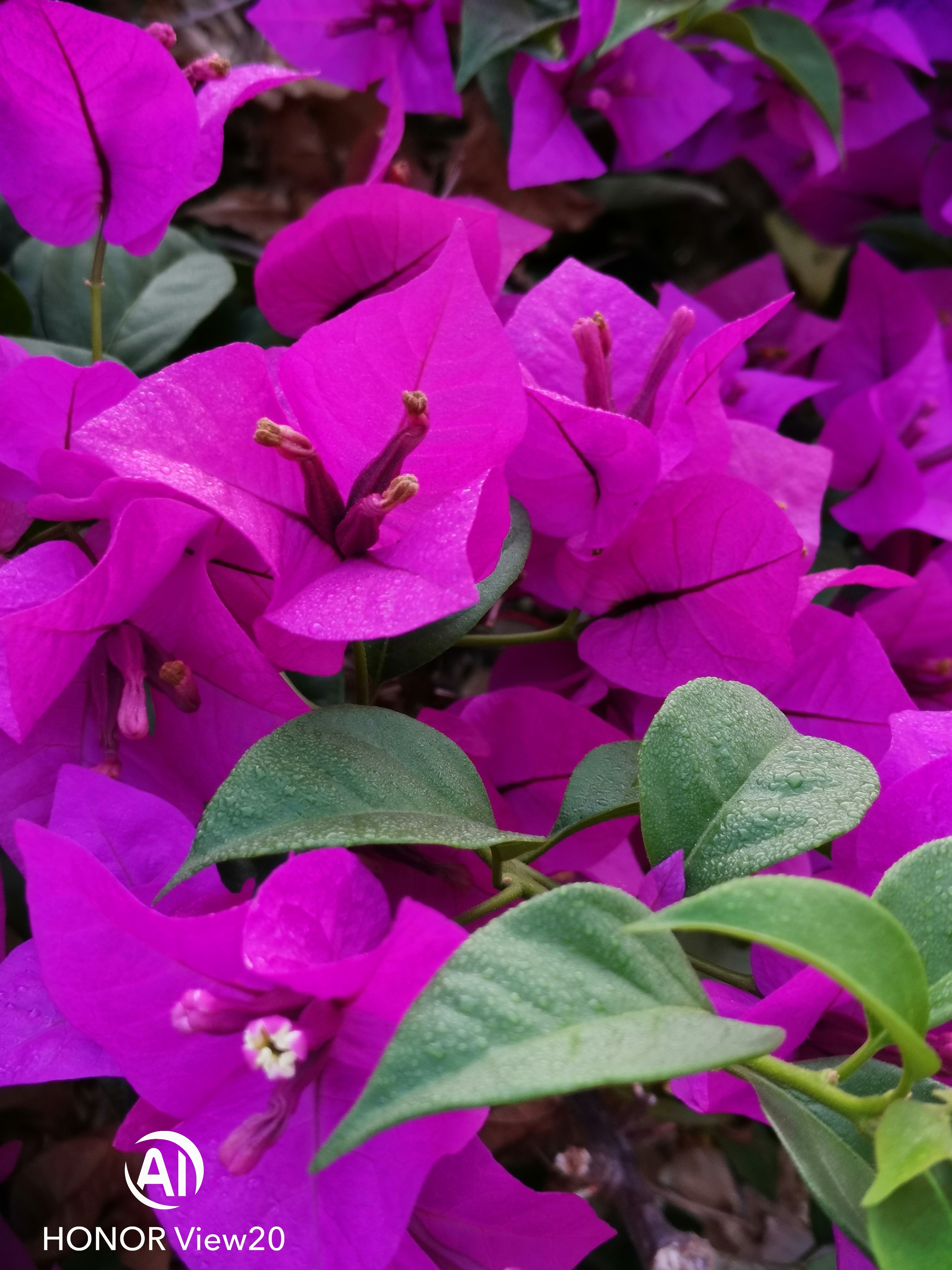 REVIEW-Incredibles-Miracle-of-48mp-SONY-IMX5863D-ToF-amp-25mp-AI