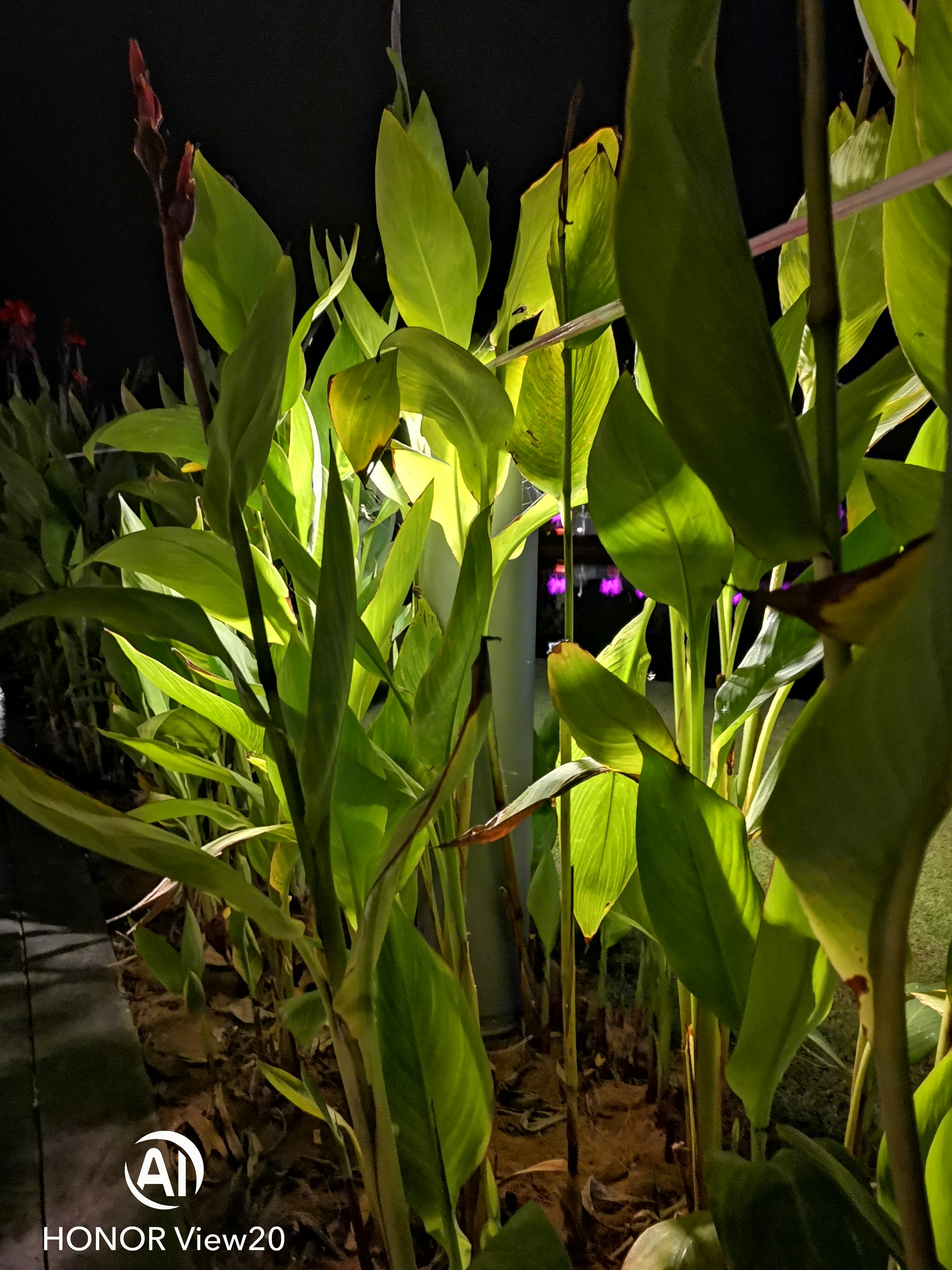 REVIEW-Incredibles-Miracle-of-48mp-SONY-IMX5863D-ToF-amp-25mp-AI