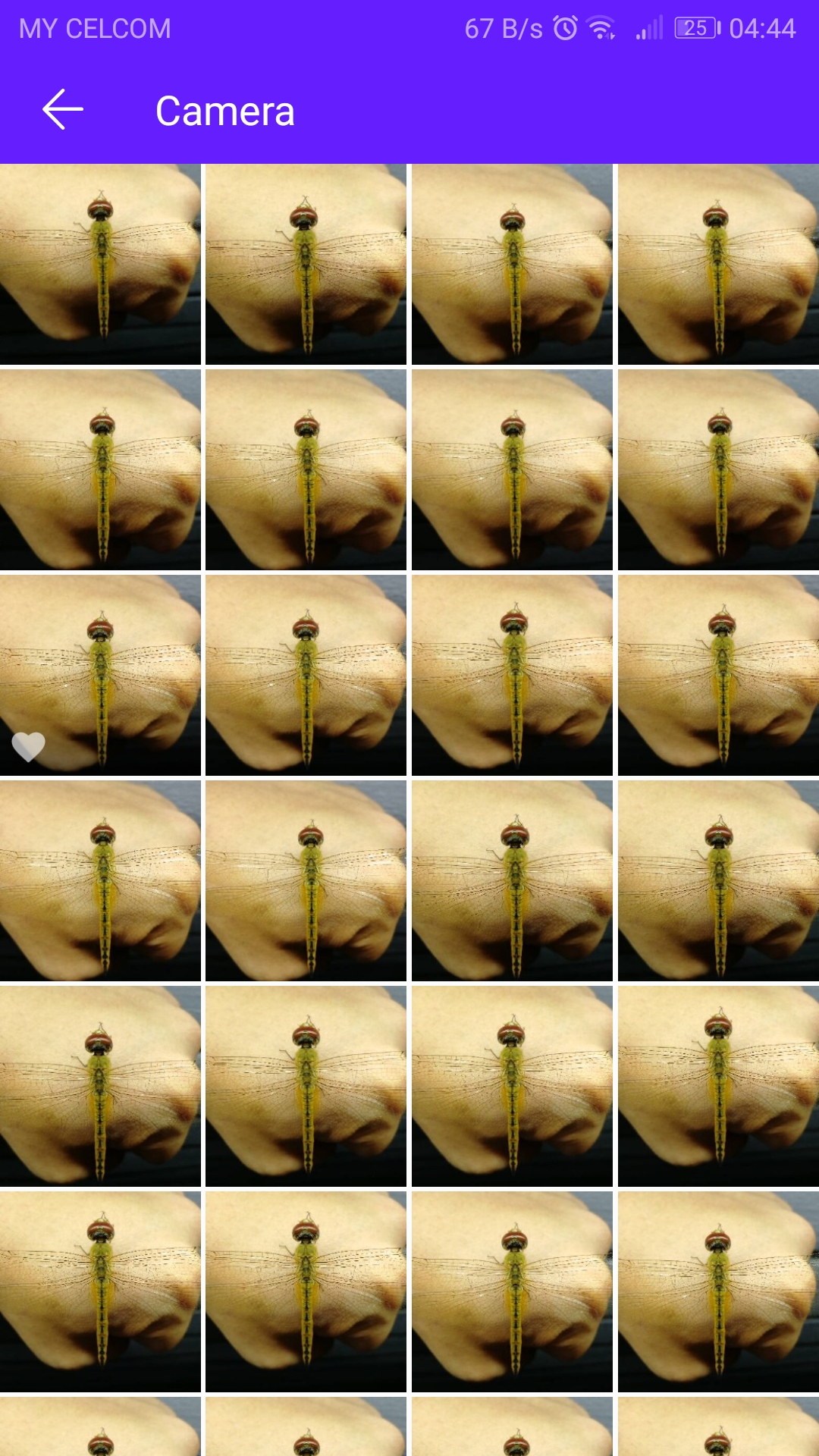 TUTORIAL-How-To-Take-Macro-Shots-Without-Macro-Lens