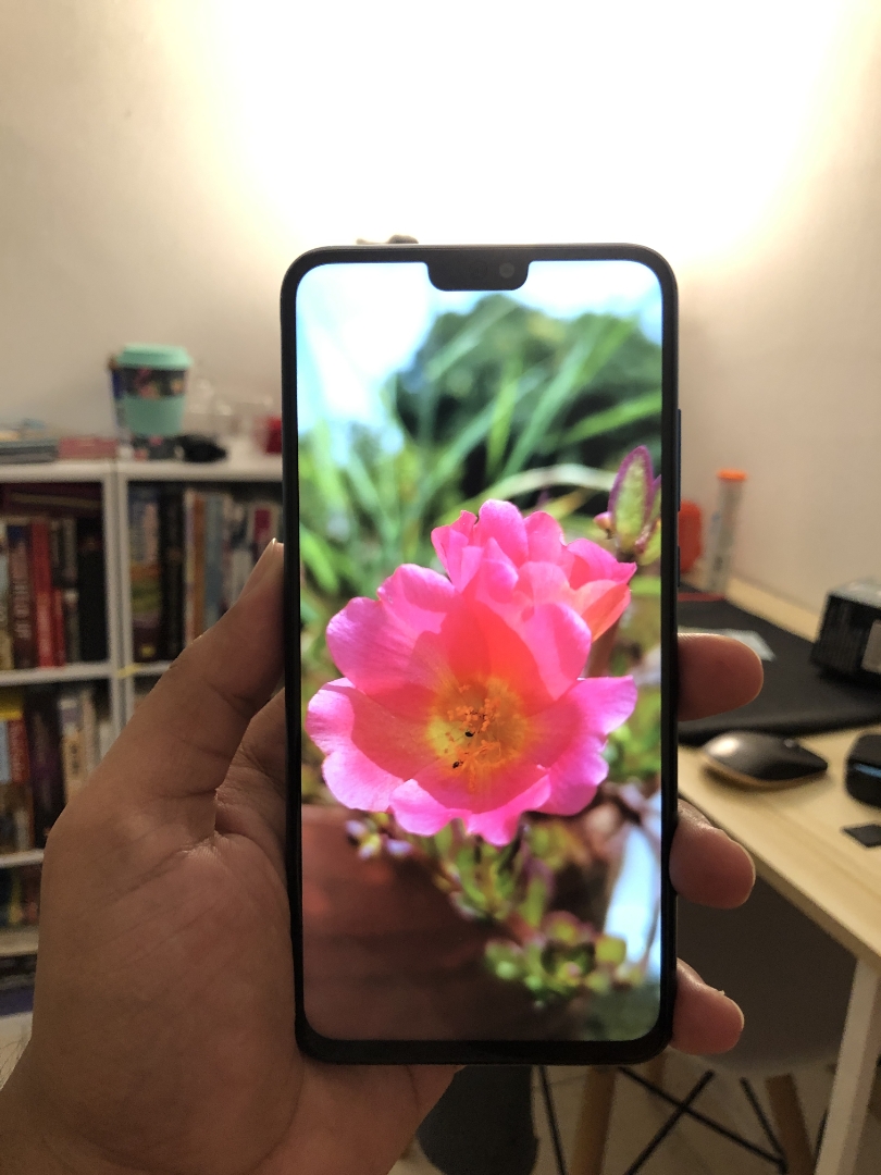 Honornbsp9XnbspLitenbspTestnbspShotnbsp-nbspPlant