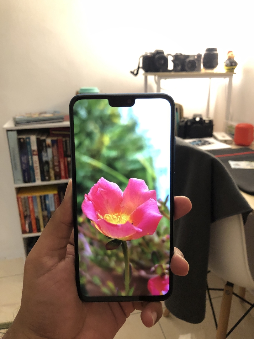 Honornbsp9XnbspLitenbspTestnbspShotnbsp-nbspPlant