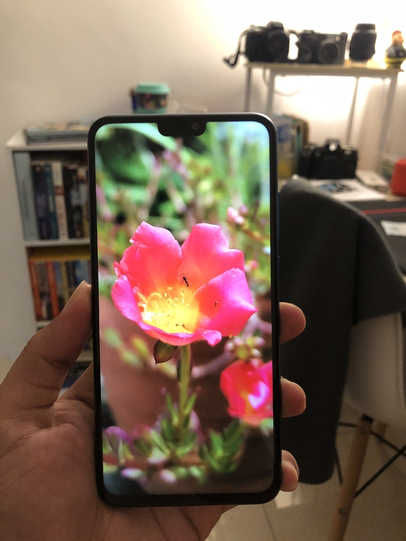 Honornbsp9XnbspLitenbspTestnbspShotnbsp-nbspPlant