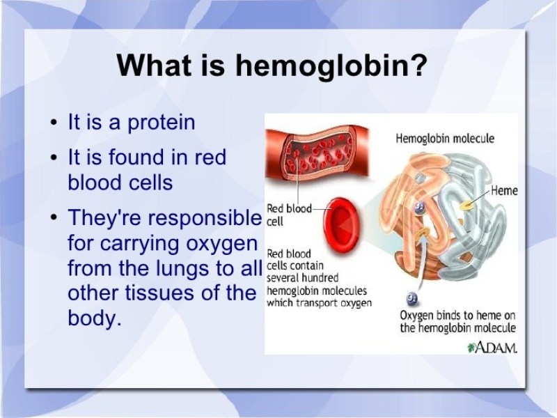 Honor-MagicWatch-2-What-is-SpO2-HONOR-Content-Crew