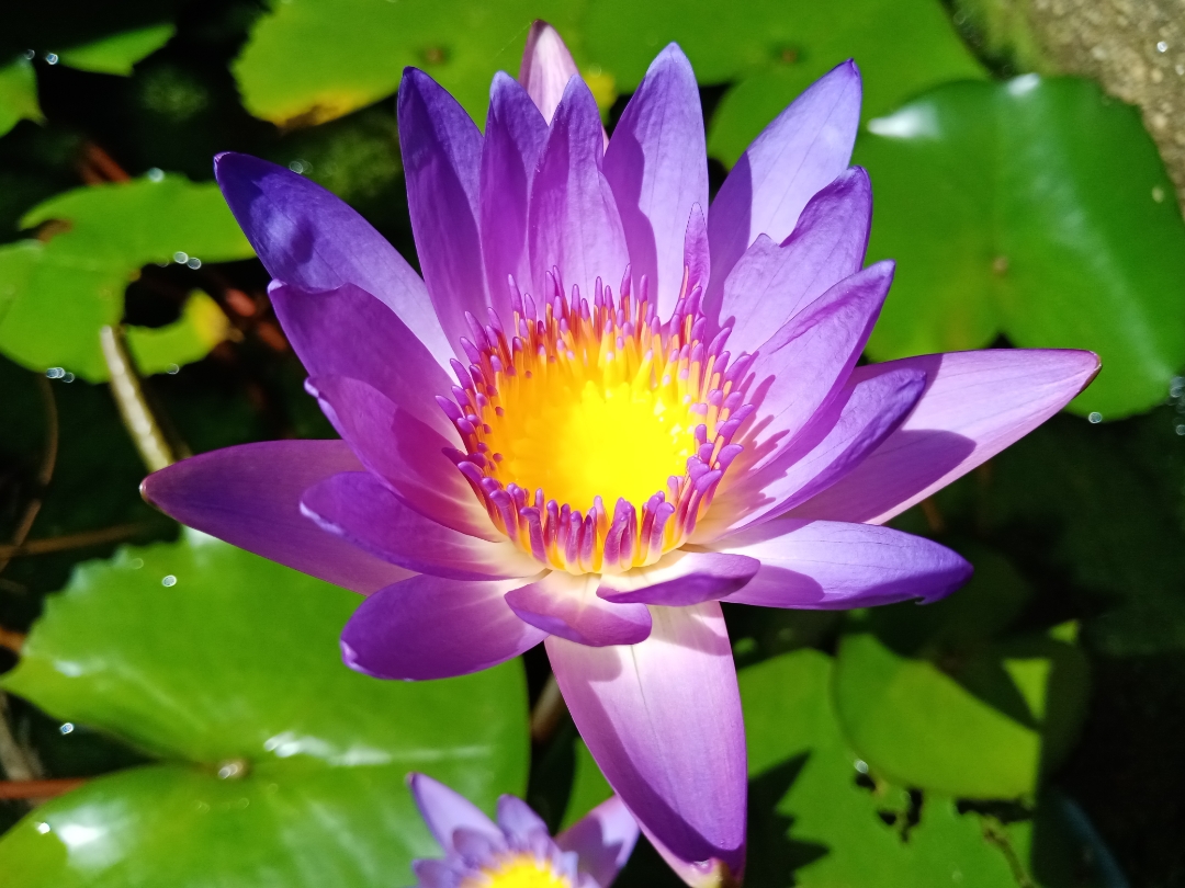 Biweekly-Photo-Collection-Highlighted-All-Good-Photos-Created-from