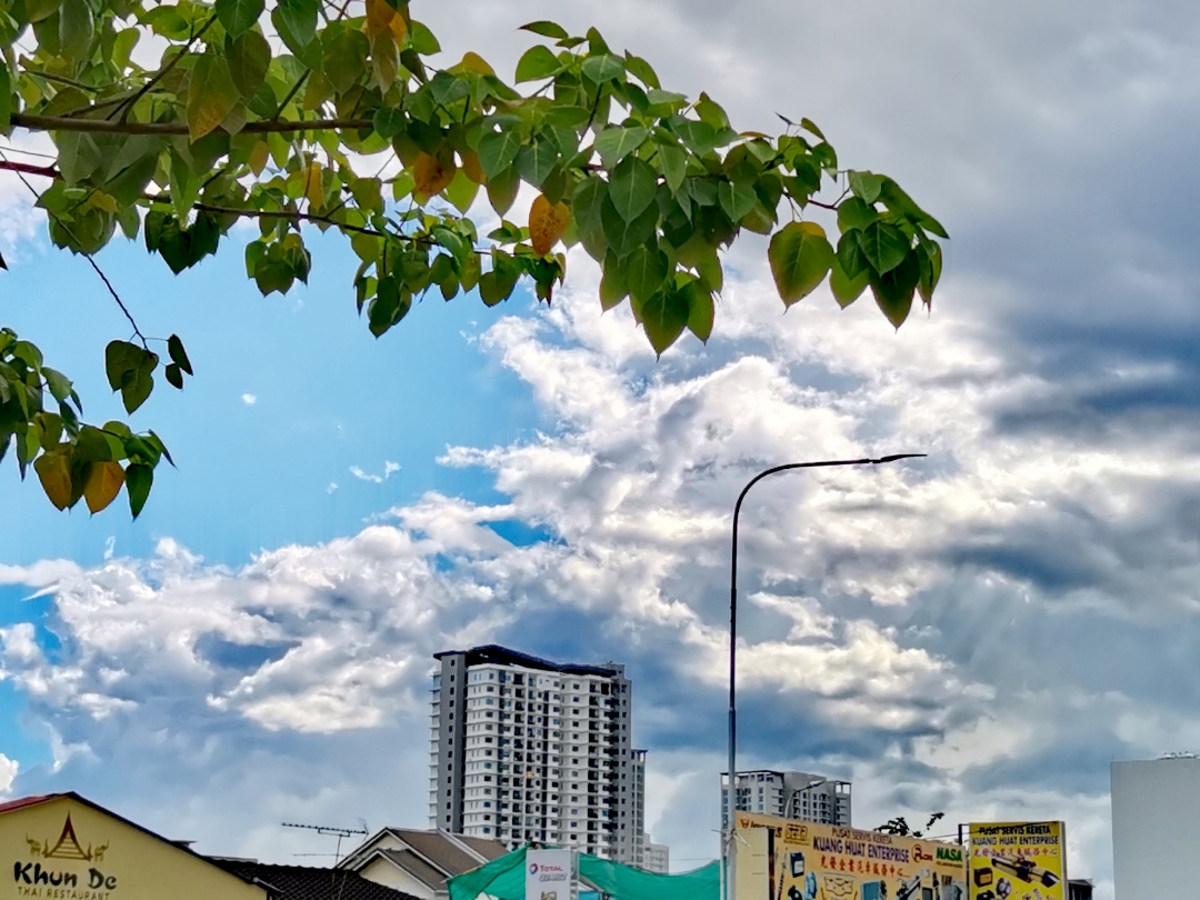 Biweekly-Photo-Collection-Highlighted-All-Good-Photos-Created-from