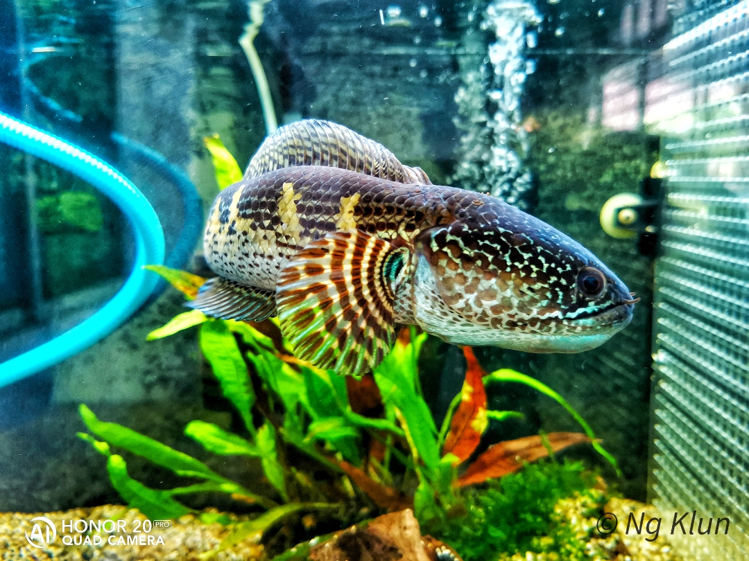 Biweekly-Photo-Collection-Highlighted-All-Good-Photos-Created-from