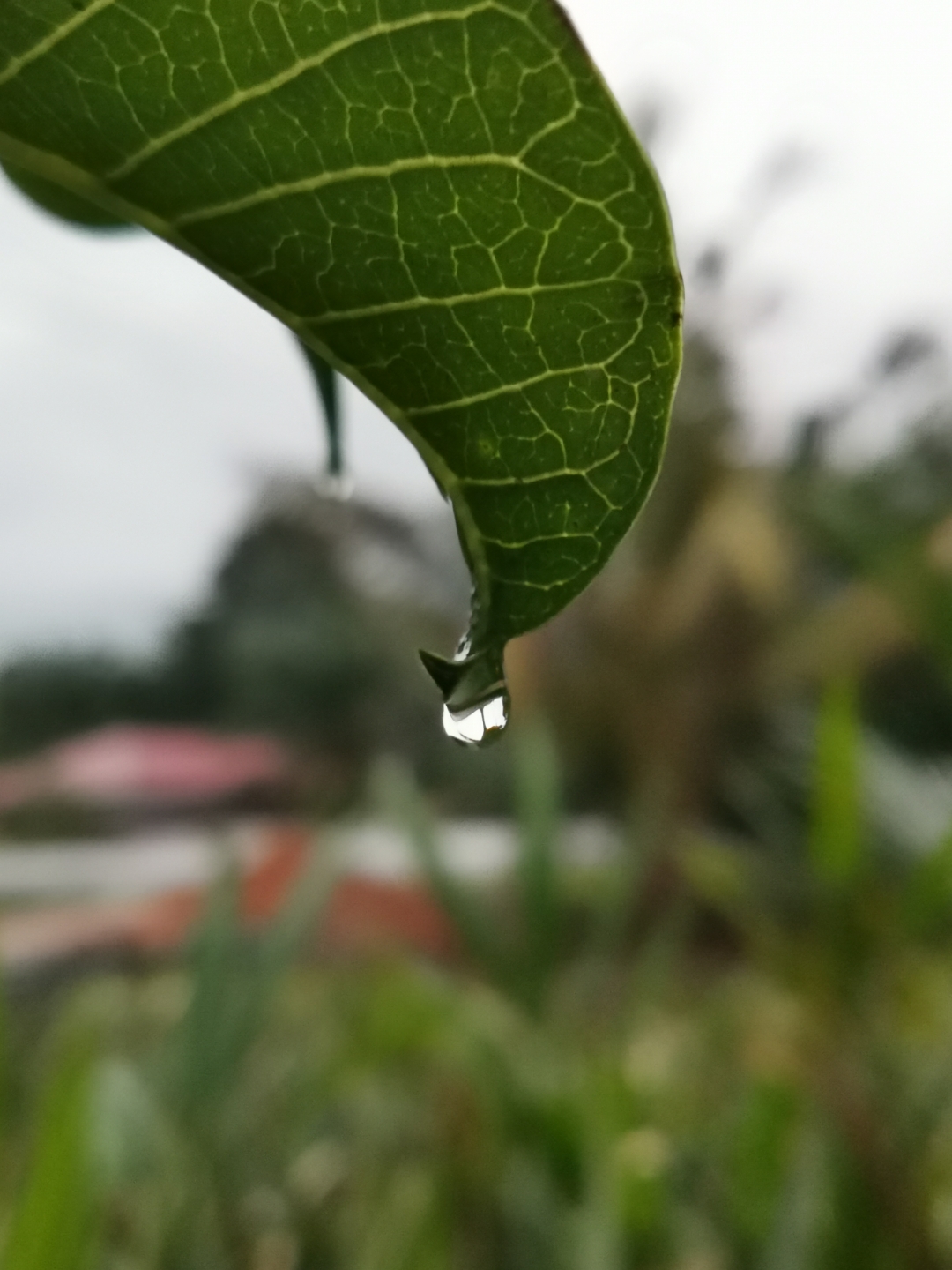 Biweekly-Photo-Collection-Highlighted-All-Good-Photos-Created-from