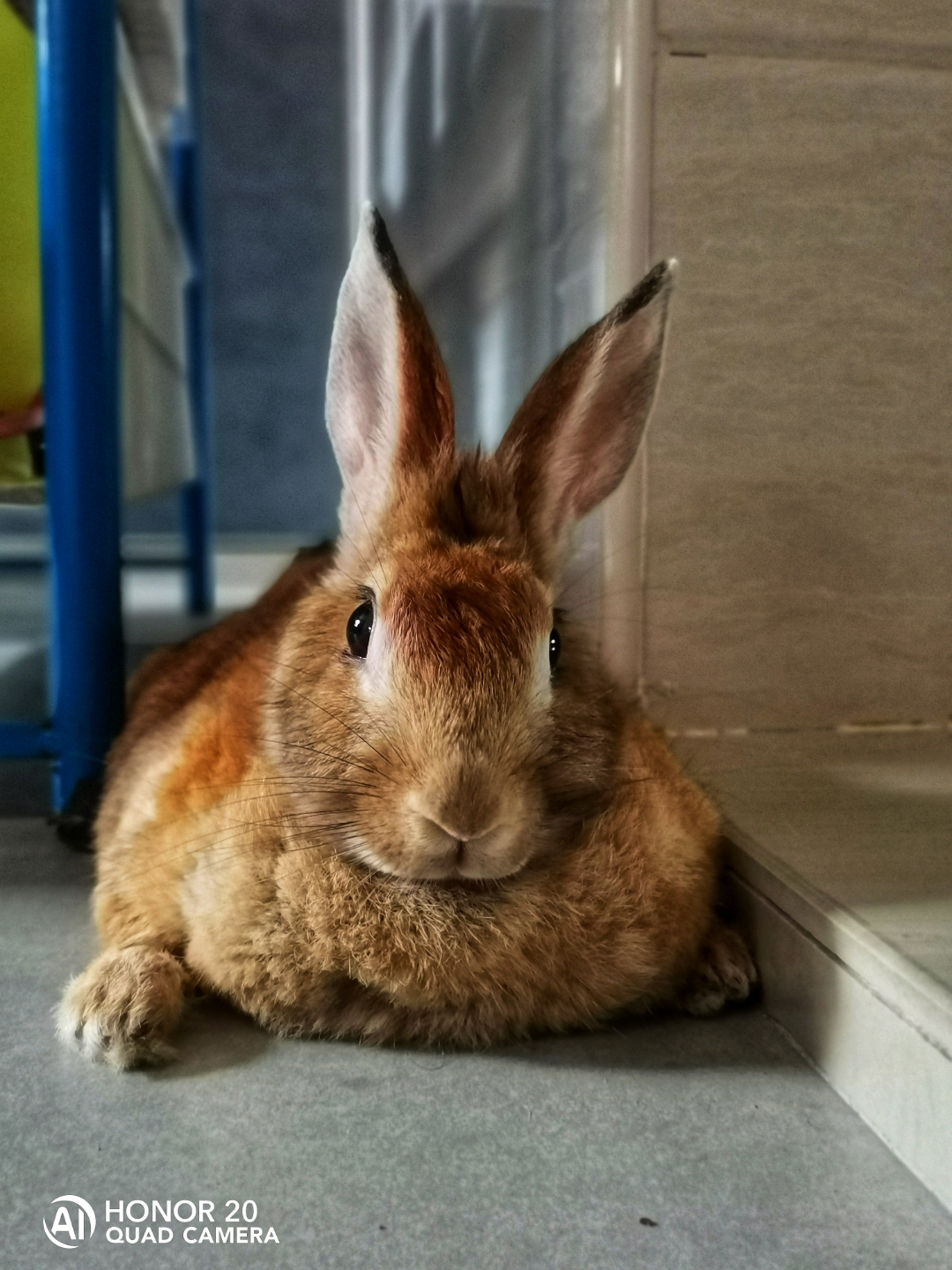 Biweekly-Photo-Collection-Highlighted-All-Good-Photos-Created-from