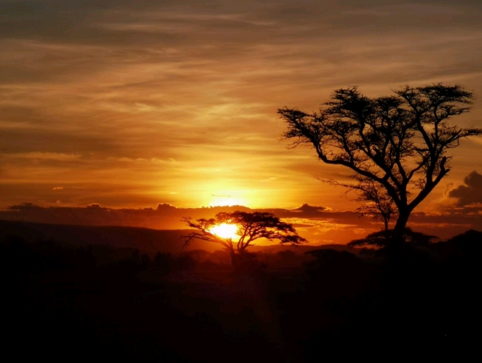 HONORs-Image-Stabilization-Technology-Explained