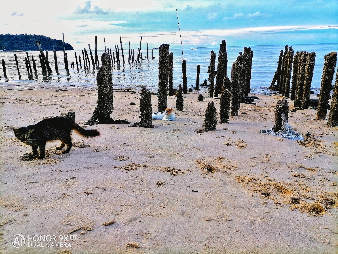 Biweekly-Photo-Collection-Highlighted-All-Good-Photos-Created-from