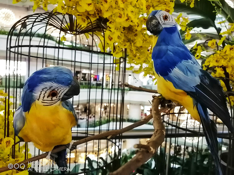 HONOR-20i-20-LITE-Three-Tips-for-Stunning-Close-up-Photography