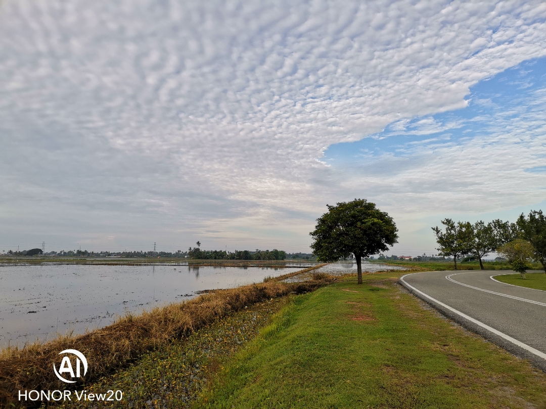 Biweekly-Photo-Collection-Highlighted-All-Good-Photos-Created-from