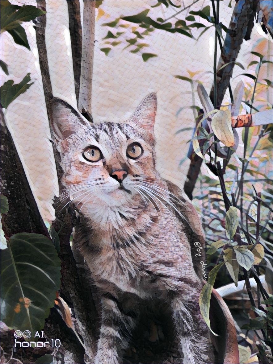 Biweekly-Photo-Collection-Highlighted-All-Good-Photos-Created-from