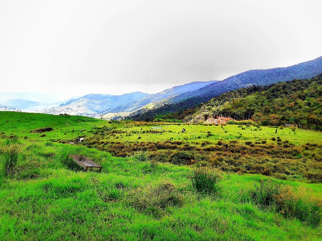 Biweekly-Photo-Collection-Highlighted-All-Good-Photos-Created-from