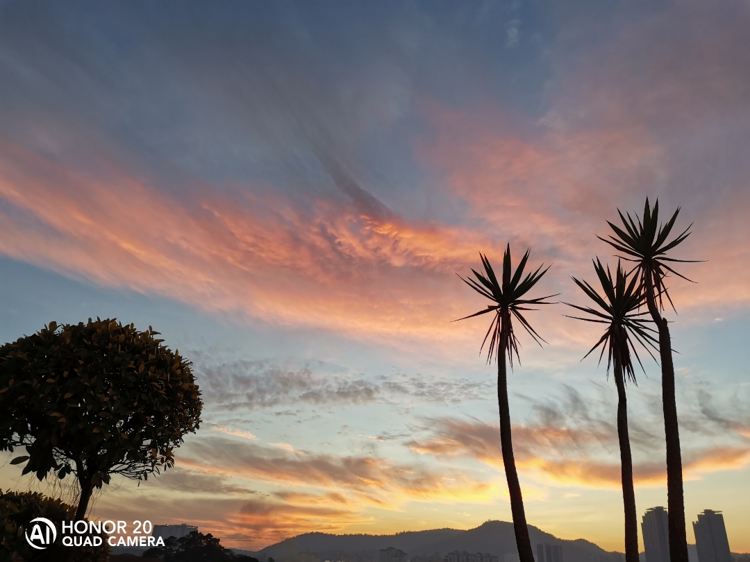 Biweekly-Photo-Collection-Highlighted-All-Good-Photos-Created-from