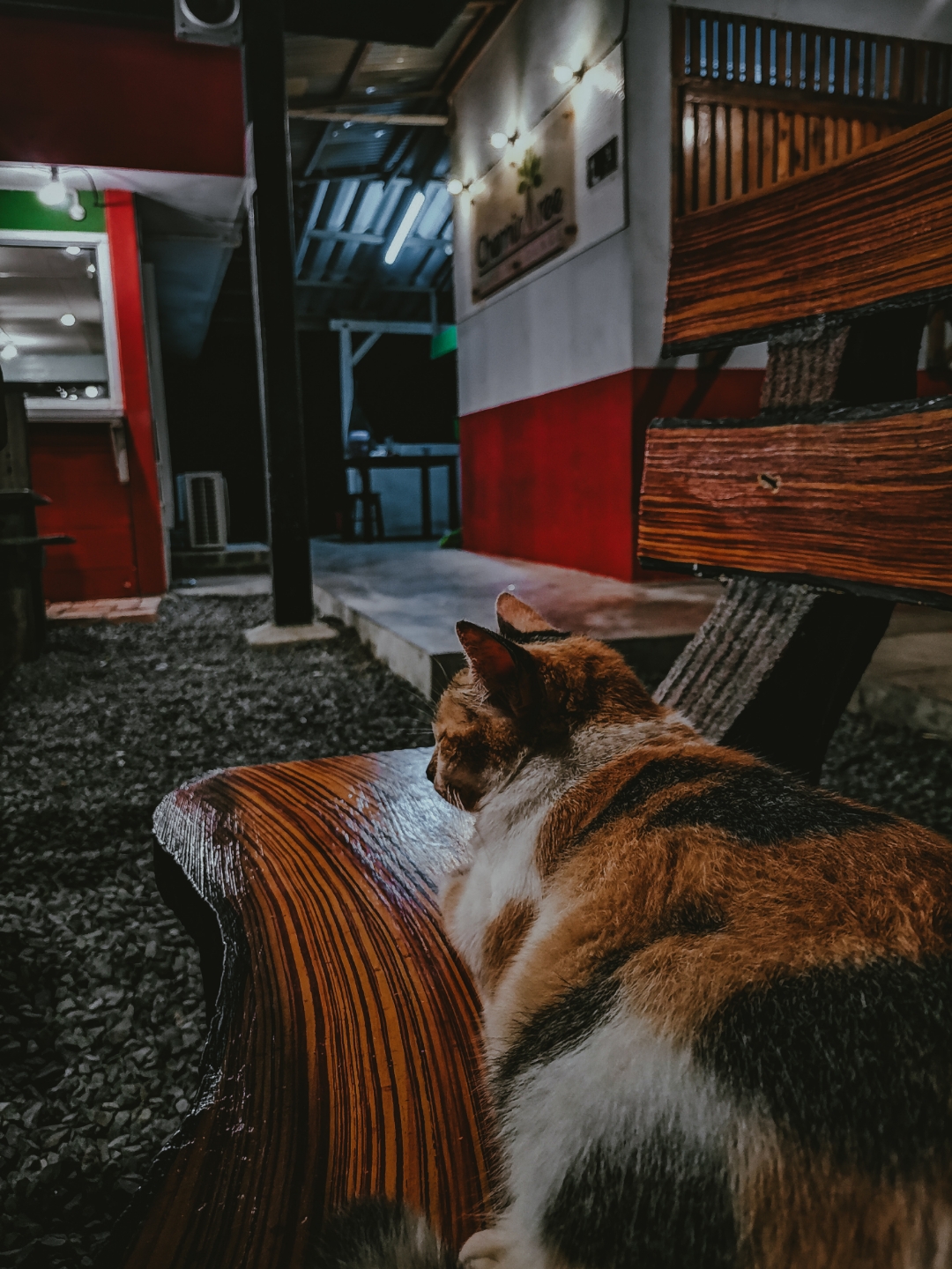 Biweekly-Photo-Collection-Highlighted-All-Good-Photos-Created-from