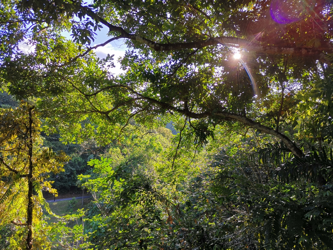 Biweekly-Photo-Collection-Highlighted-All-Good-Photos-Created-from