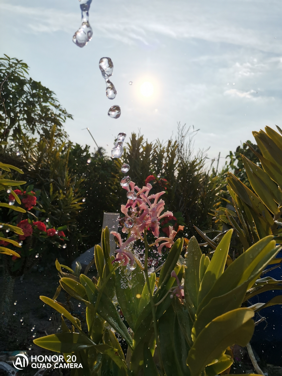 Biweekly-Photo-Collection-Highlighted-All-Good-Photos-Created-from