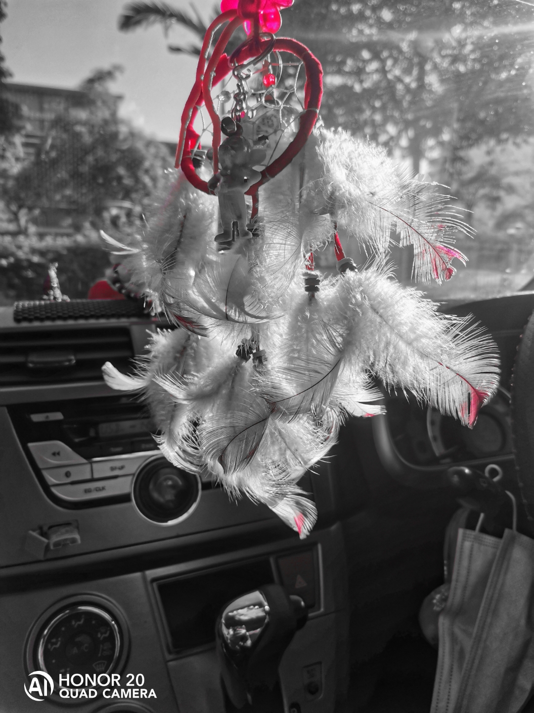 Biweekly-Photo-Collection-Highlighted-All-Good-Photos-Created-from