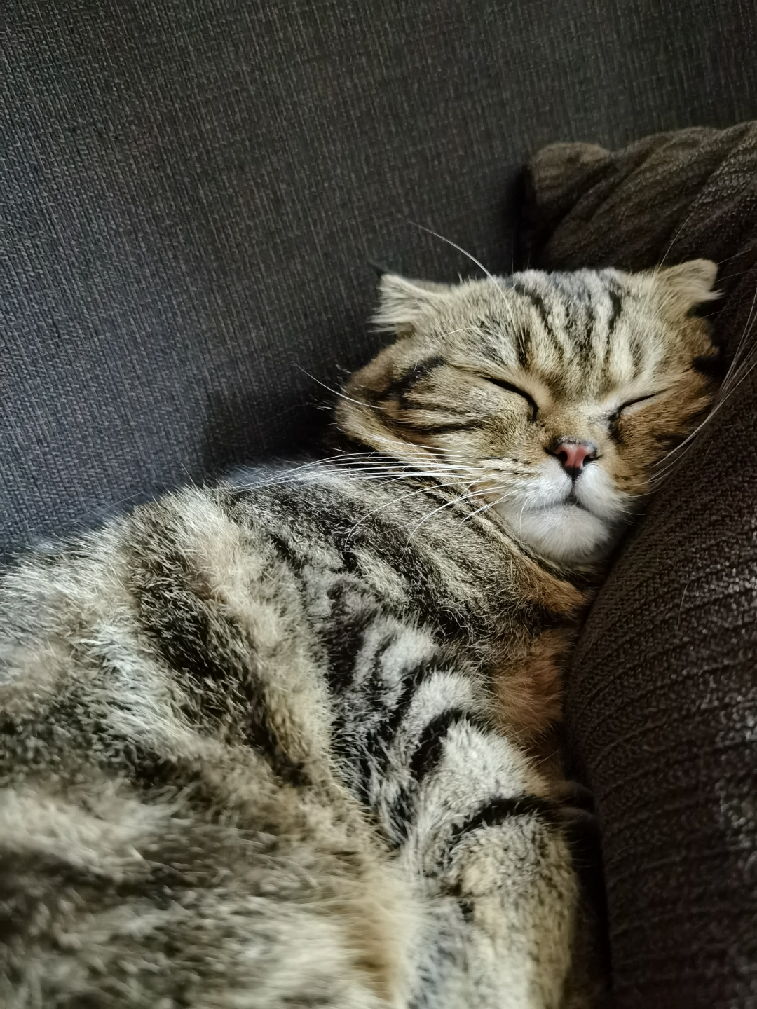 Biweekly-Photo-Collection-Highlighted-All-Good-Photos-Created-from