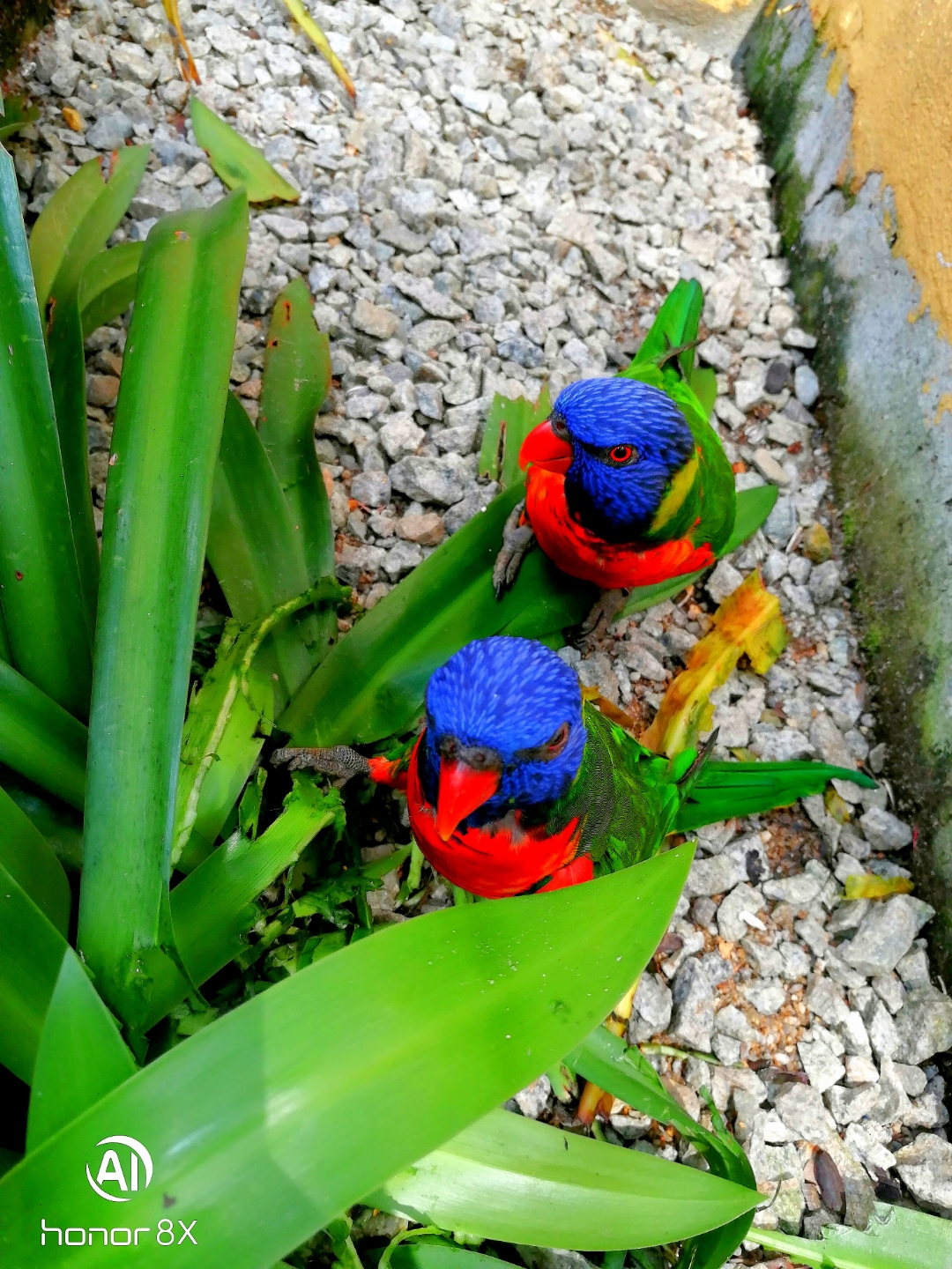 Biweekly-Photo-Collection-Highlighted-All-Good-Photos-Created-from