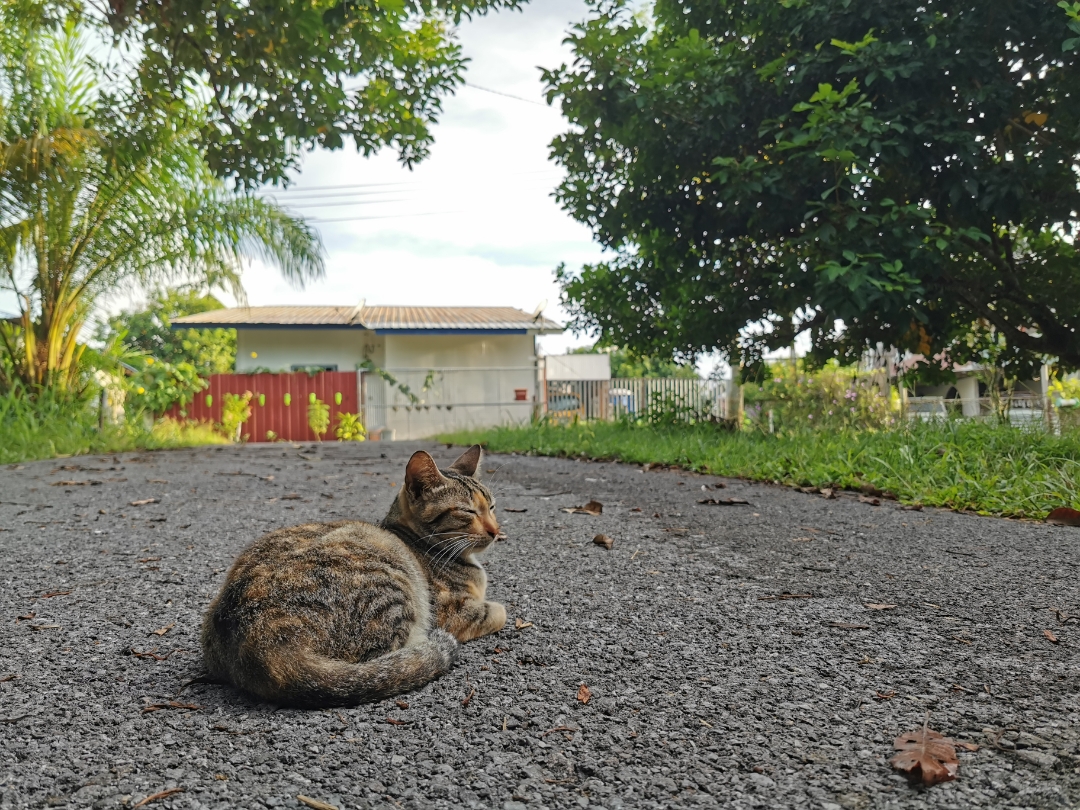 Biweekly-Photo-Collection-Highlighted-All-Good-Photos-Created-from