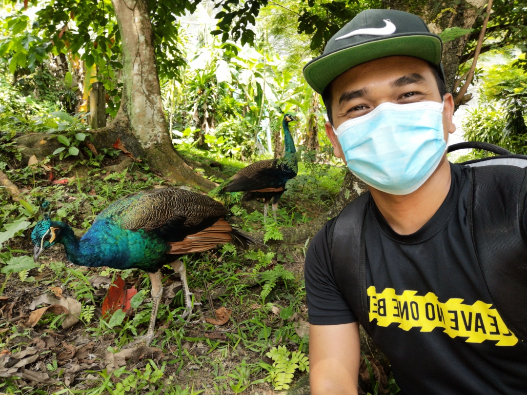 Biweekly-Photo-Collection-Highlighted-All-Good-Photos-Created-from