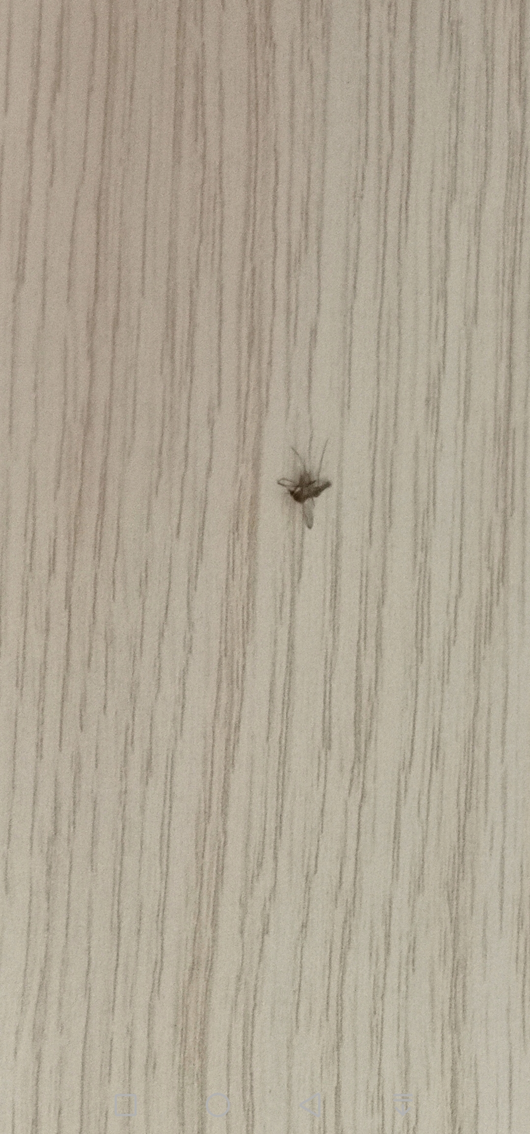 Samples-Get-to-know-about-48mp-SONY-IMX586-amp-Sample-shots