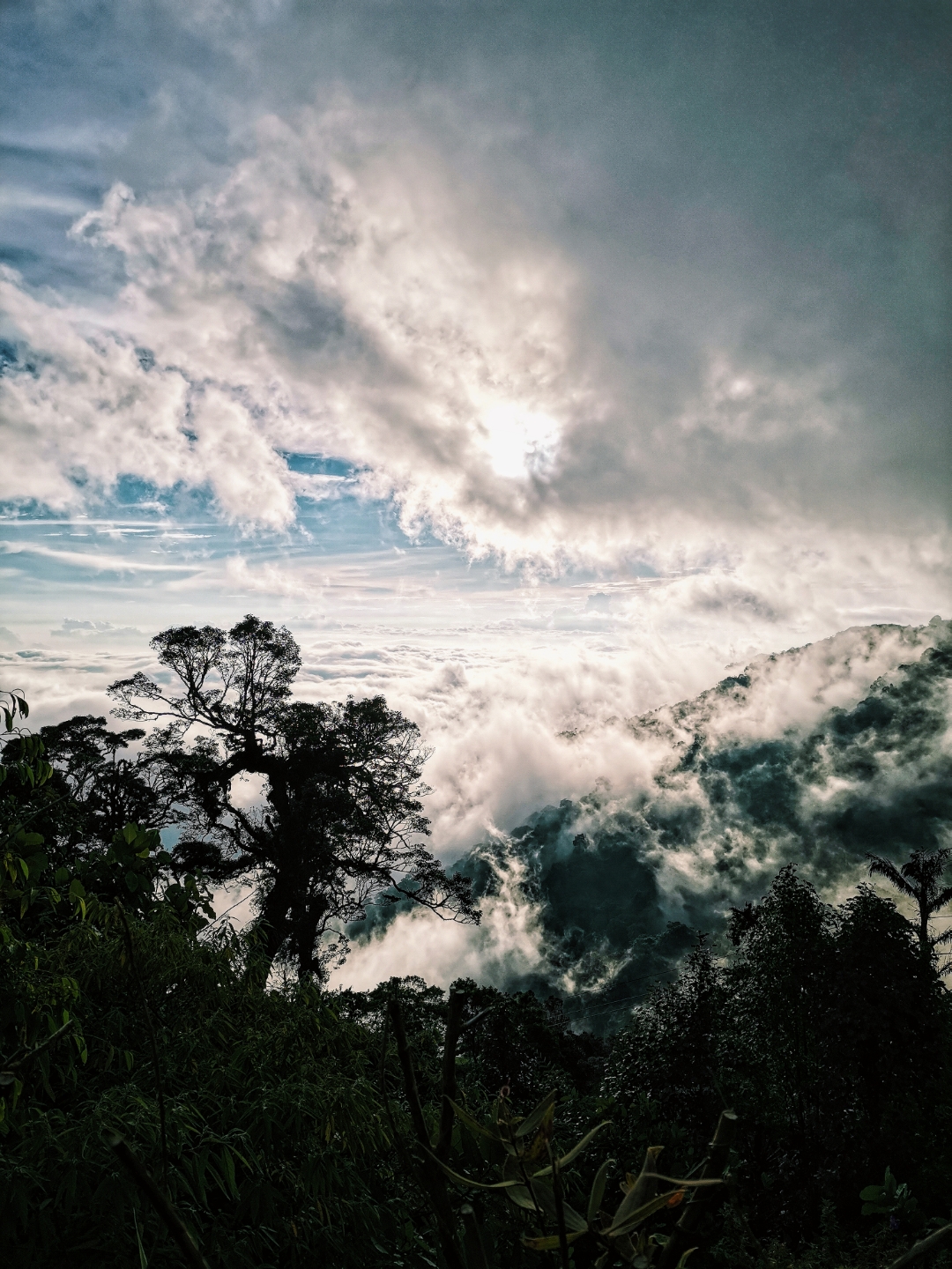 Biweekly-Photo-Collection-Highlighted-All-Good-Photos-Created-from